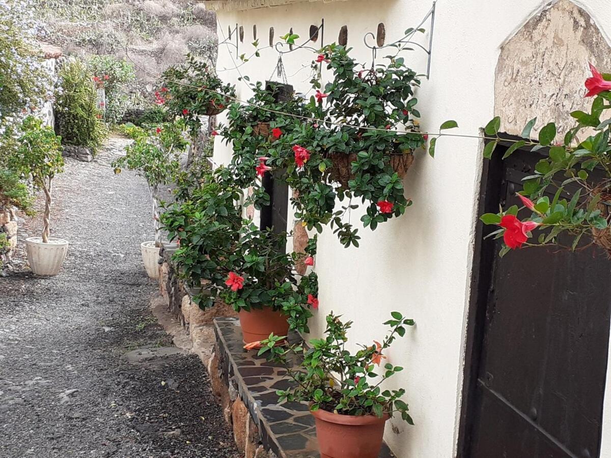 Casa La Fuente Villa Arona  Exterior photo